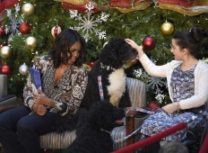  Hardly a dog's life for Obama's pets Bo and Sunny 