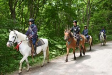 Japanese boy disappears after parents leave him in forest