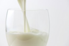 Indonesia a future land of milk and honey