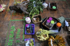 Various offerings in the Cembengan ritual, including buffalo heads, colored sticky rice, multifarious cakes and crops. JP/Ganug Nugroho Adi
