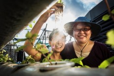 Selected Discovery films now available on Viddsee