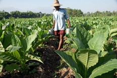 E. Java rejects foreign intervention in tobacco industry