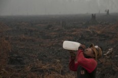 Indonesia still far from greenhouse gas reduction target