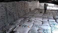 Govt to import 200,000 tonnes of sugar ahead of Ramadan
