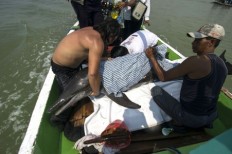Bottlenose dolphin stranded in Cirebon waters