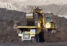 Coal: Between growth and energy mix