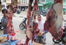 Cold storage shortage will hamper beef market operations: Economist