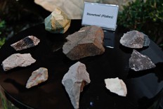 Oldest ancient human remains from Flores made public