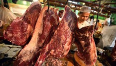 Jakartans encouraged to purchase frozen beef