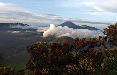 Search continues for Swiss hiker missing in Semeru