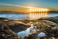 Longer fasting challenging but doable: Indonesians living abroad