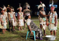 Papua-centric perspective should guide development in province: minister