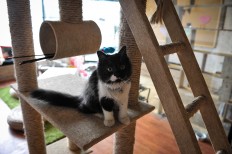 Interesting cafes worth a visit in Kemang