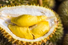 Malaysia bets on durian as China goes bananas for world's smelliest fruit