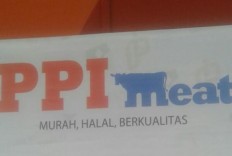 Earning funds from selling shares in Isuzu, PPI drops injection plan