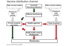 Distribution chain blamed for fake vaccine circulation