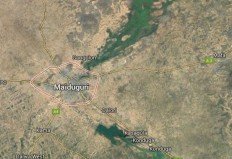 Suicide bomber kills at least 50 in Nigeria