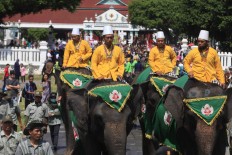 Elephant troops join the Grebeg Syawal parade. (JP/Dhoni Setiawan)