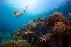 Bali’s diving heaven Pemuteran among best Asian destinations