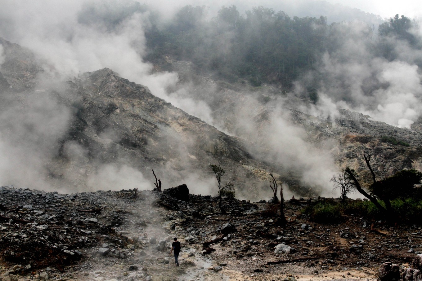 ‘Cornered’ indigenous groups invest billions in conservation: Study