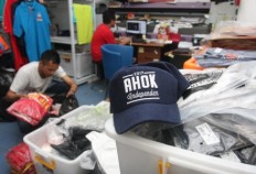 Flourishing political volunteer groups good for democracy: Analysts