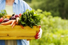 Organic foods perhaps good for you, but bad for environment
