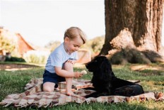 William and Kate release photos for Prince George's birthday