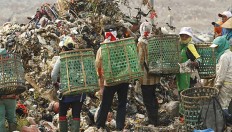 Trash for cash: Apps promote recycling through monetary rewards
