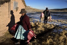 In this July 10, 2016 photo, Felipa Catunta and her husband Modesto carry what remains of their alpacas that died due to sub-freezing temperatures in San Antonio de Putina in the Puno region of Peru. Every alpaca that dies represents a major financial loss. The couple butchered their dead alpacas to cook for their family and feed to their dogs which scare off foxes that prey on baby alpacas. AP Photo/Rodrigo Abd