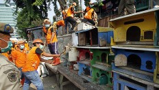 App-based monitoring system to help prevent spread of bird flu