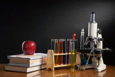 Indonesian student wins gold medal in biology olympiad