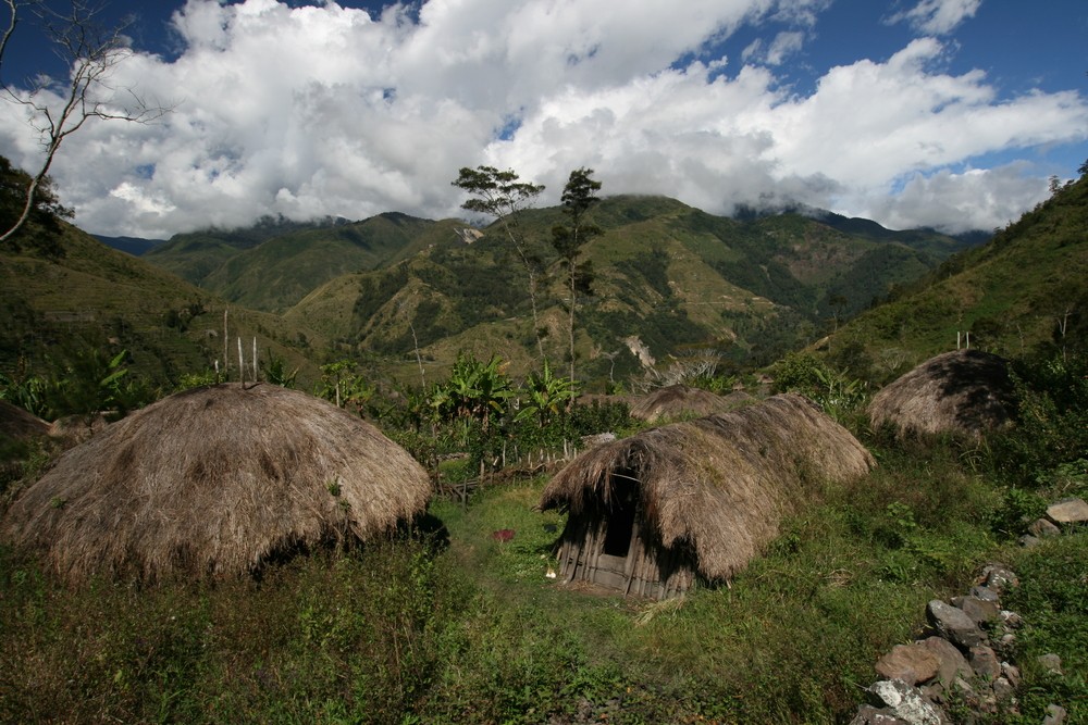 Baliem Valley Cultural Festival to feature tribal warfare simulation ...