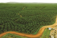 Government urged to revise palm oil bill