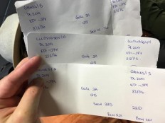 Delta shutdown strands 1,000-plus at Narita airport in Japan 