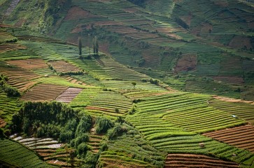 Dieng ready to receive 150,000 visitors on Idul Fitri holiday