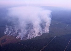 Police investigate 3 companies over fires in oil palm concessions 