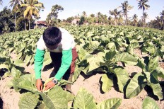 Is tobacco bill really necessary?