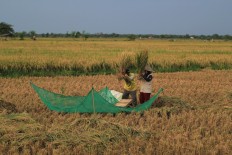   Rice center to be established in Indramayu