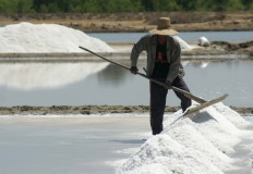 Salt producer to move its headquarters back to Sumenep