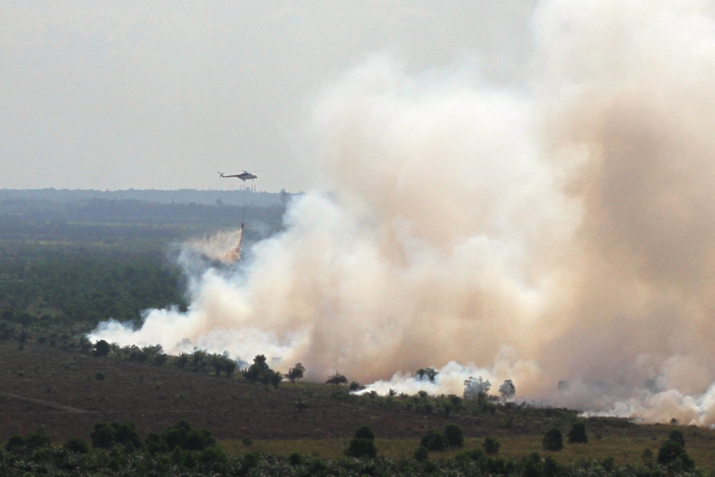 Indonesia Working Non-stop To Fight Fires, Says Minister - National ...