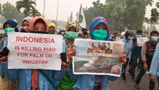Against global warming: School students and environmental activists stage a peaceful rally to protest land clearing with slash-and-burn methods, which lead to land and forest fires in Riau.