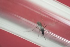 CDC: Don't donate sperm in 3 Florida counties due to Zika 