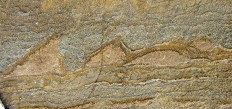  Evidence of earliest life on Earth disputed 