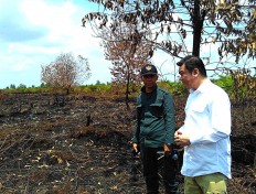 Restoration promised for burned peat lands across Indonesia