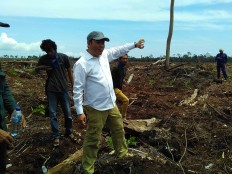 Fires still threaten peatlands, even in restoration areas