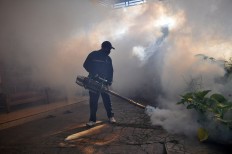 Dengue fever kills 11, infects hundreds in East Nusa Tenggara regency