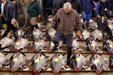 New Tokyo leader postpones plan to move famous fish market 