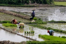 Employment shifts to rural areas in 2016: ADB