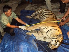 Tiger-skin traders sentenced to 4 years in prison