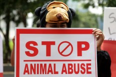 Instagram videos of dying cat allegedly fed alcohol prompt online furor, police investigation